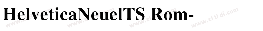 HelveticaNeuelTS Rom字体转换